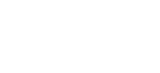 Insurance Producers Network Logo
